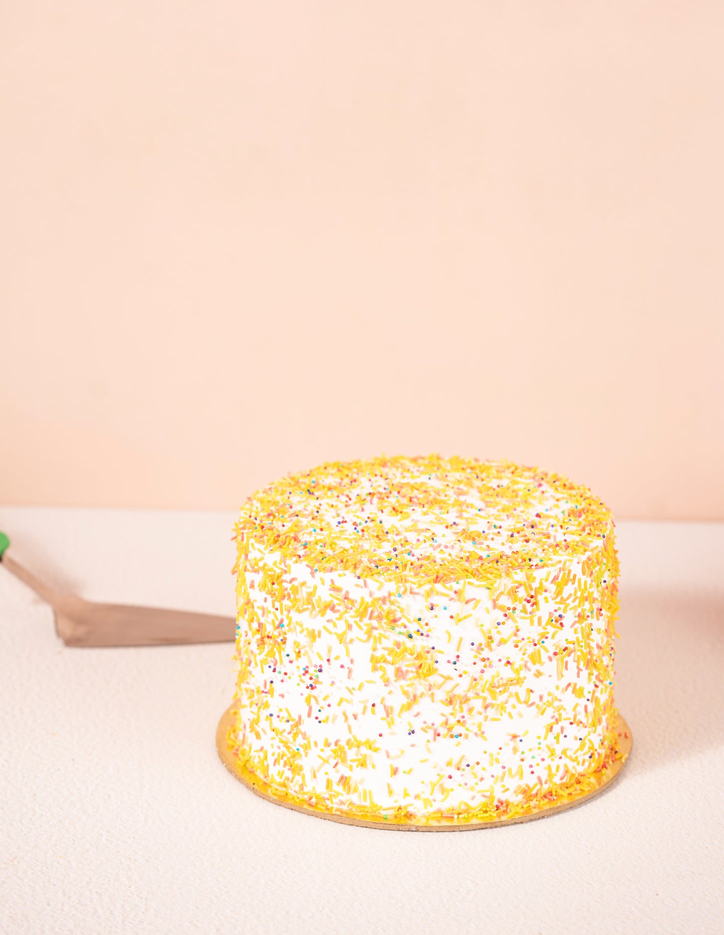 Rainbow Cheese Cake