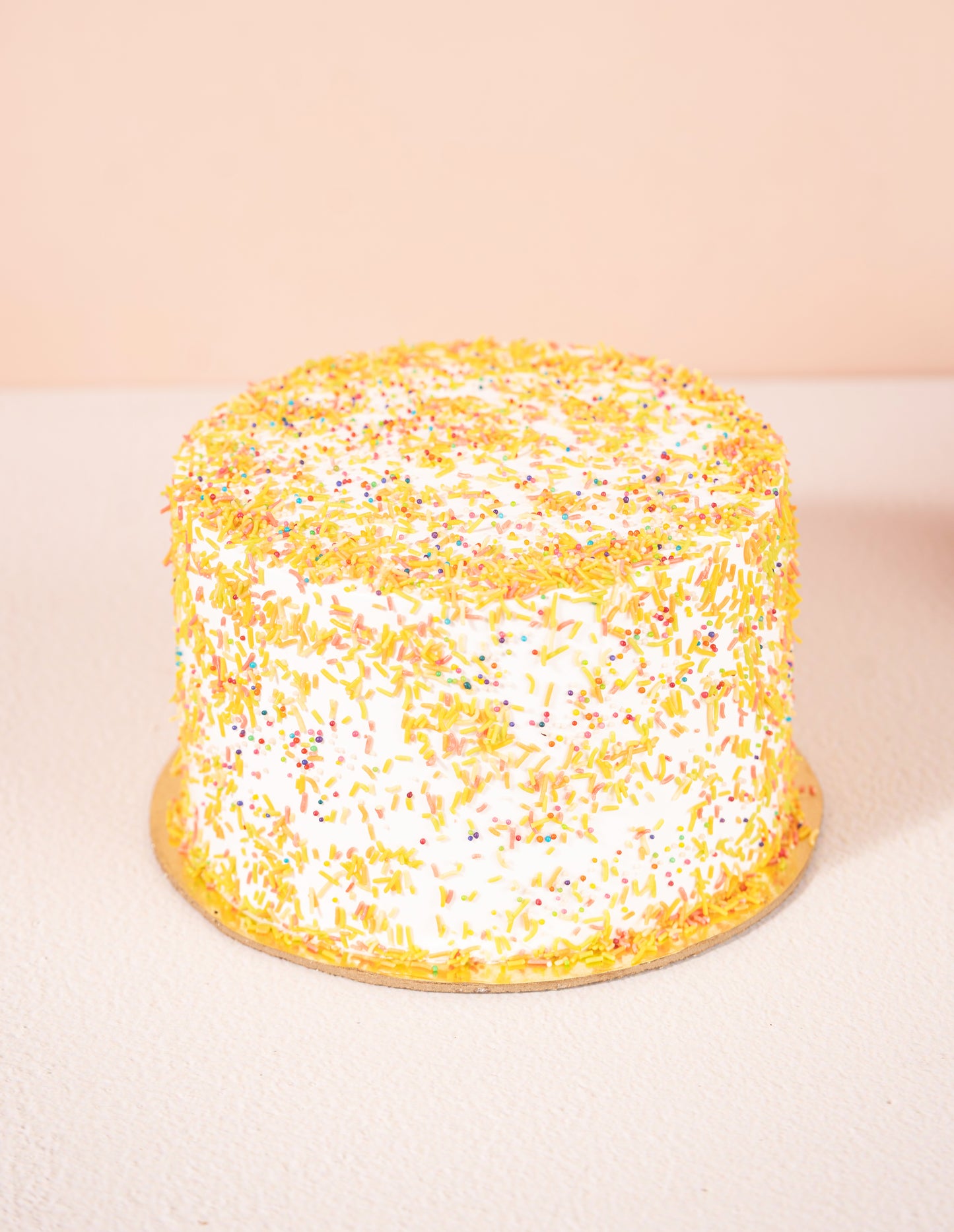 Rainbow Cheese Cake