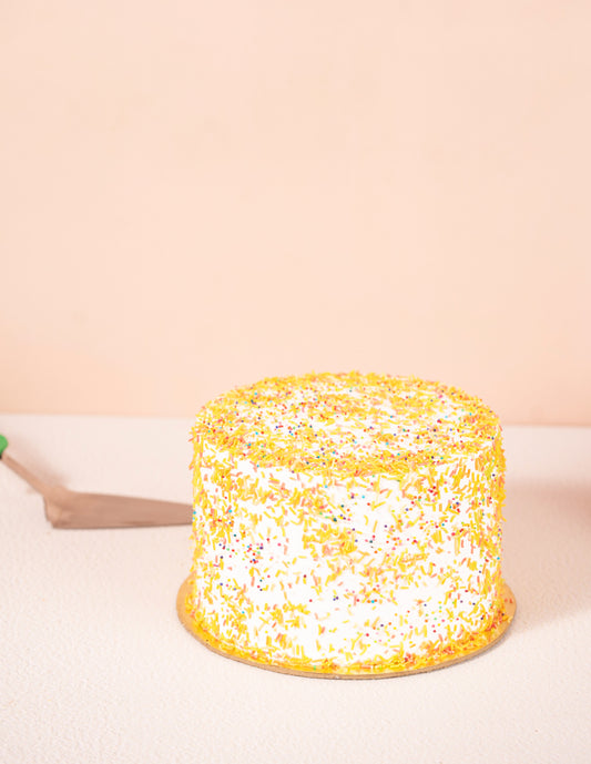 Rainbow Cheese Cake